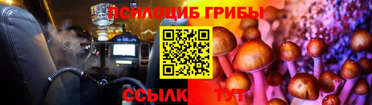 купить наркотики цена  Вход с VPN  Череповец  Галлюциногенные грибы GOLDEN TEACHER  Галлюциногенные грибы Psilocybe 