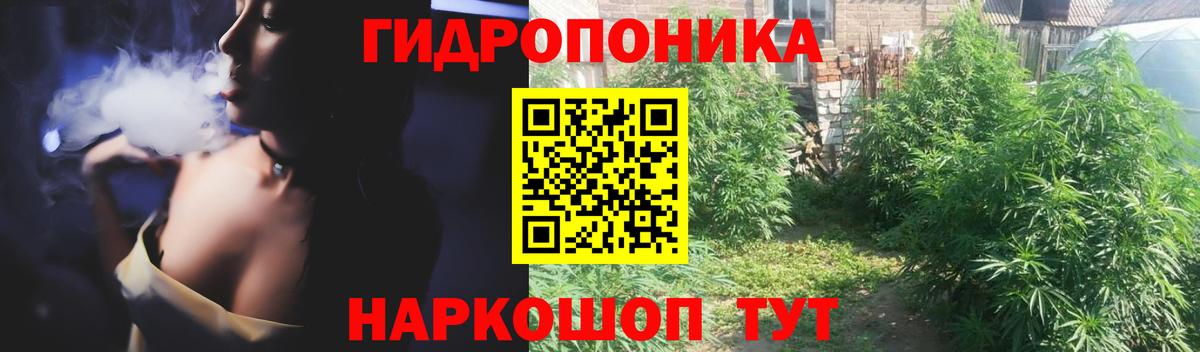 Конопля Bruce Banner  Шишки марихуана план  Череповец  Вход с VPN 